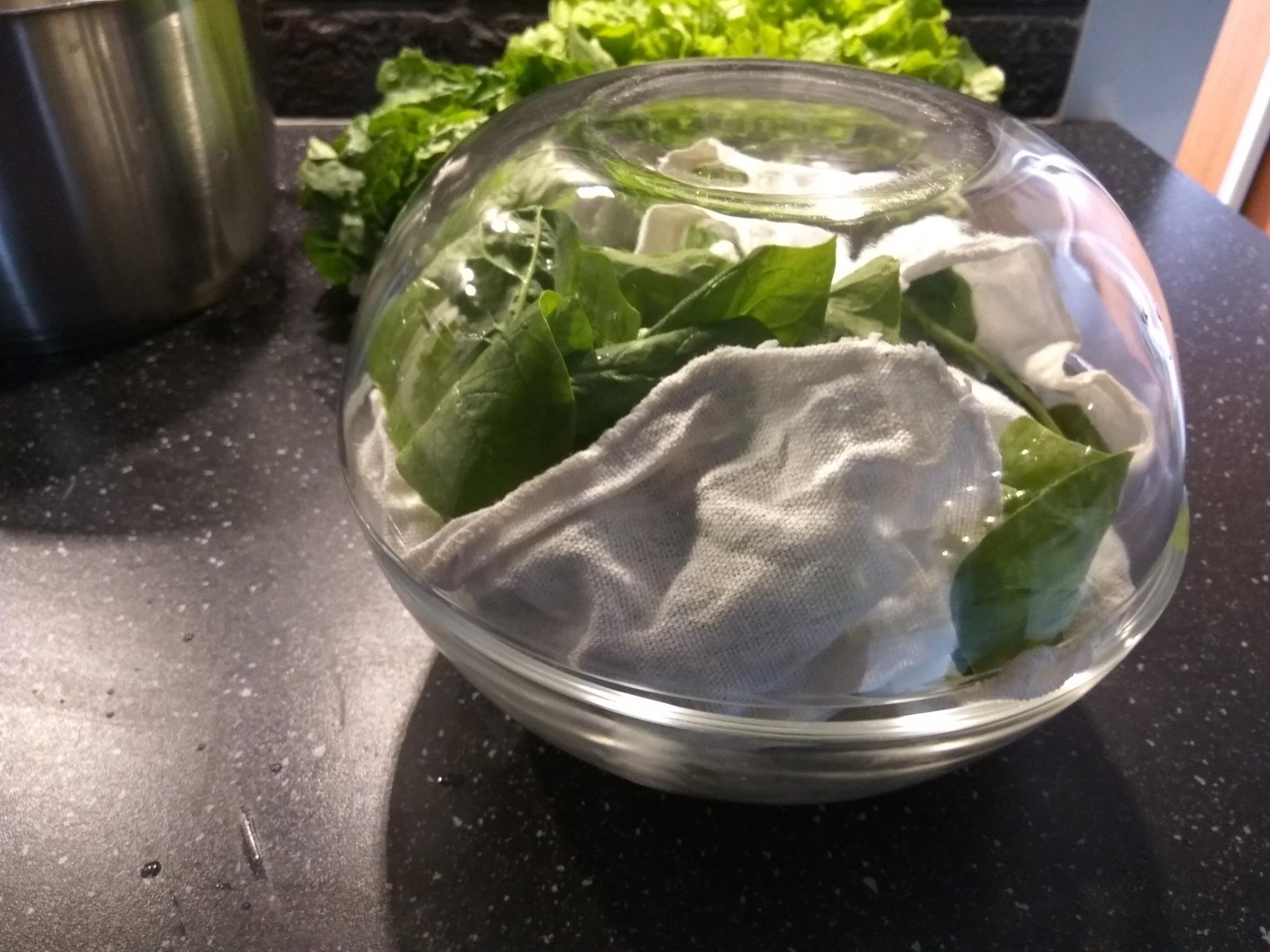 19025254_158025151405045_2445806581334387446_o