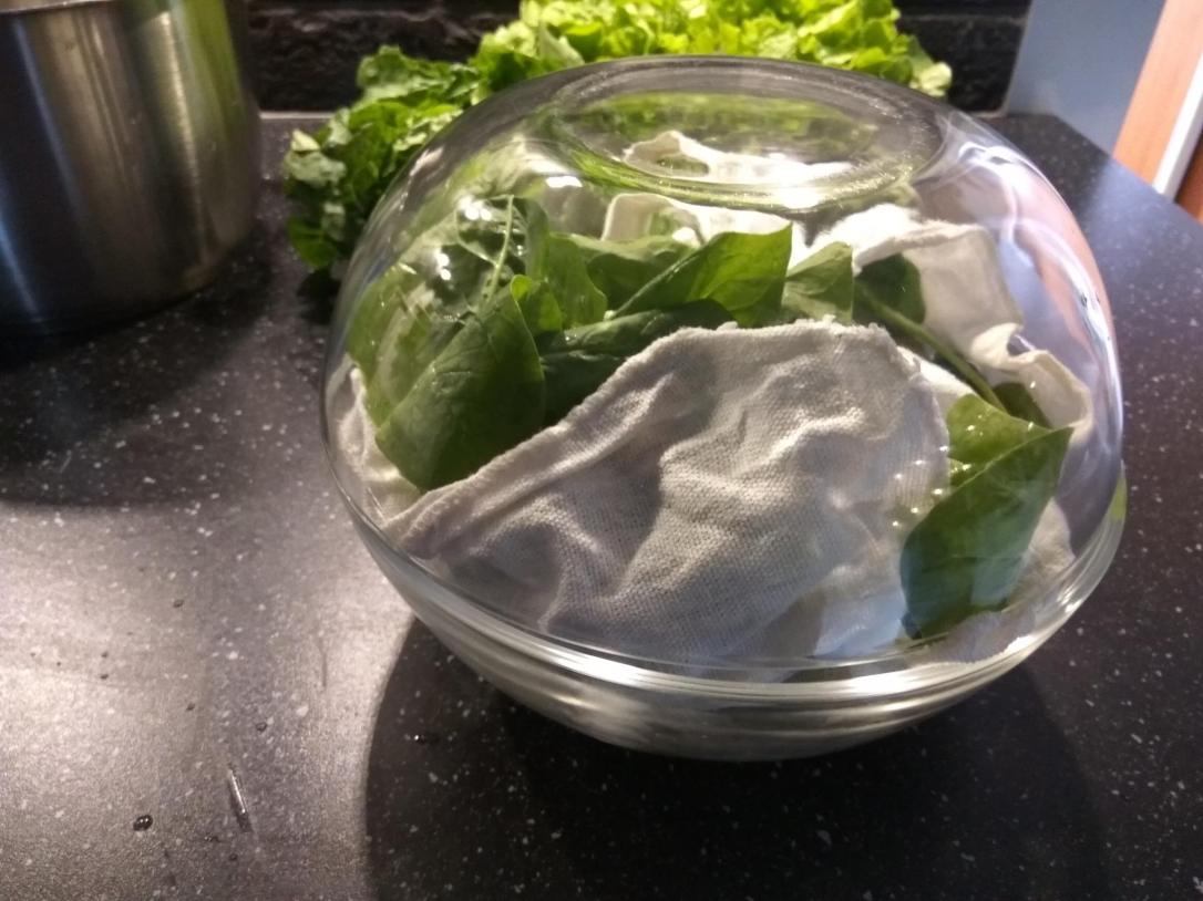 19025254_158025151405045_2445806581334387446_o