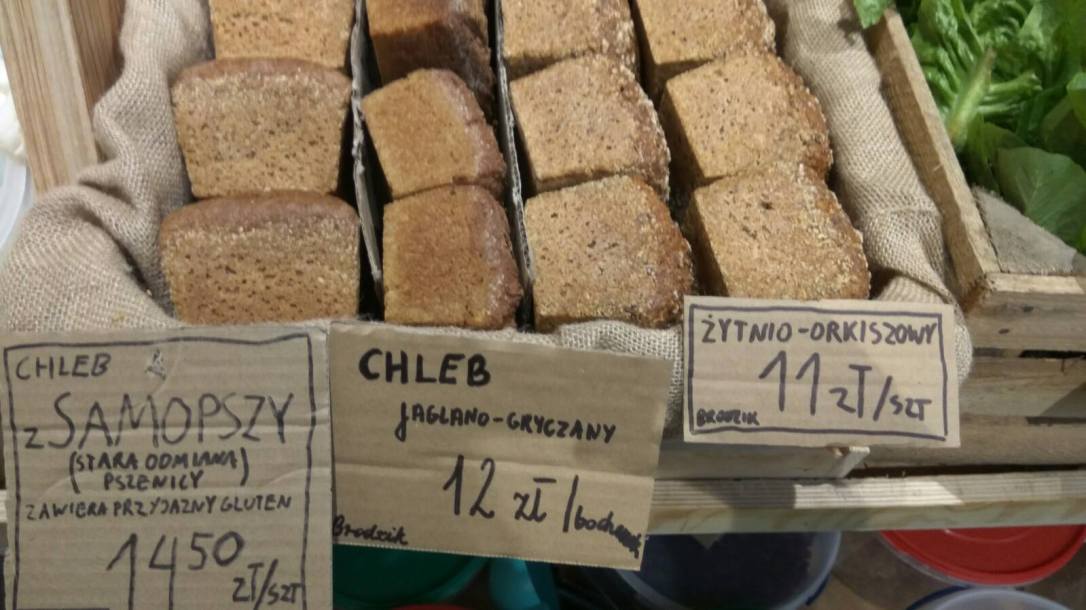 21950039_1929457230641819_7340860249976411524_o